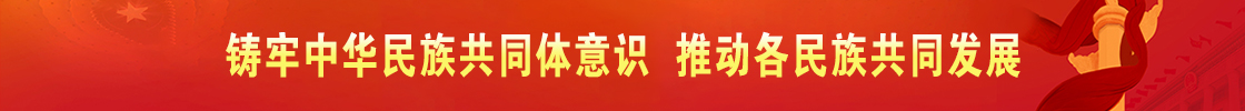 铸牢中华民族共同体意识  推动各民族共同发展
