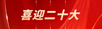 喜迎二十大