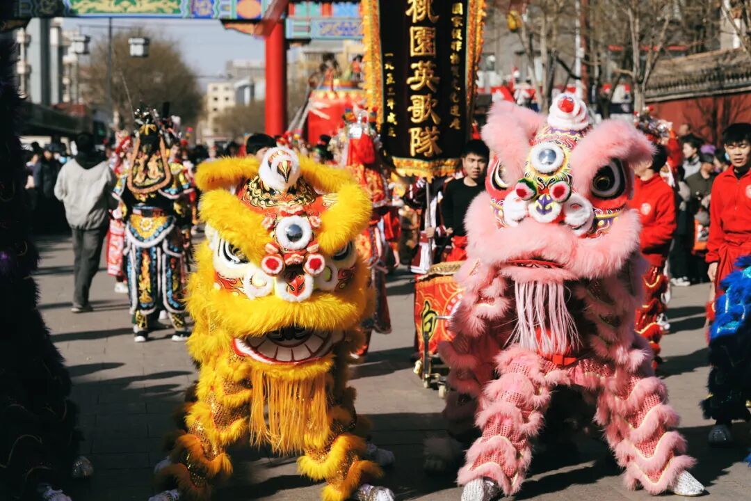 锣鼓敲响，好戏连台！呼和浩特正月的年味全在这里