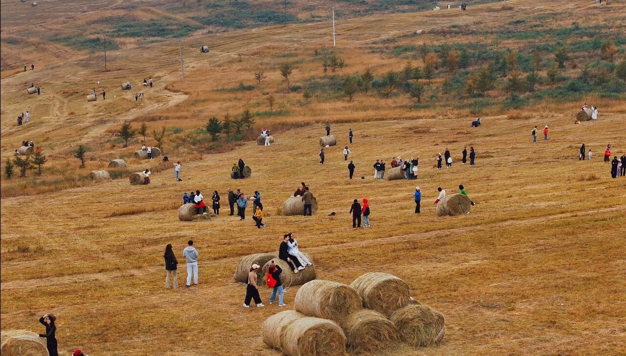 古塔赏月、草原追风、黄河落日…这3条呼和浩特秋季精品线路，一条比一条好玩
